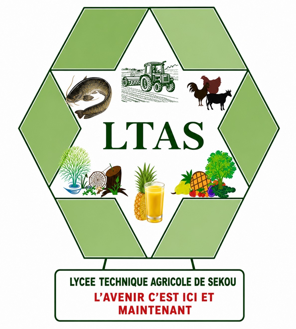 📢 Espace actualités du LTAS